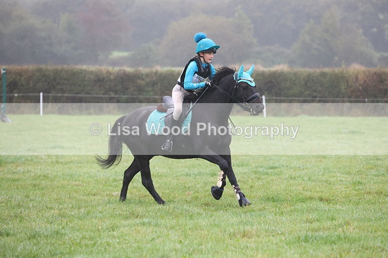 JPP_5013 - Class 1: 65cm : Showjumping