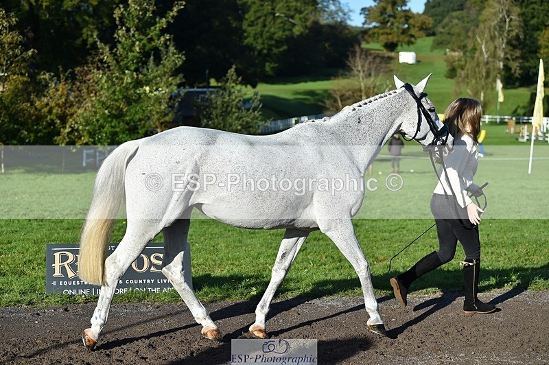 231022-101012-22278 - 443-OVERLEY.STORMBREAKER-Laney.Cridland-TrotUp+SJ