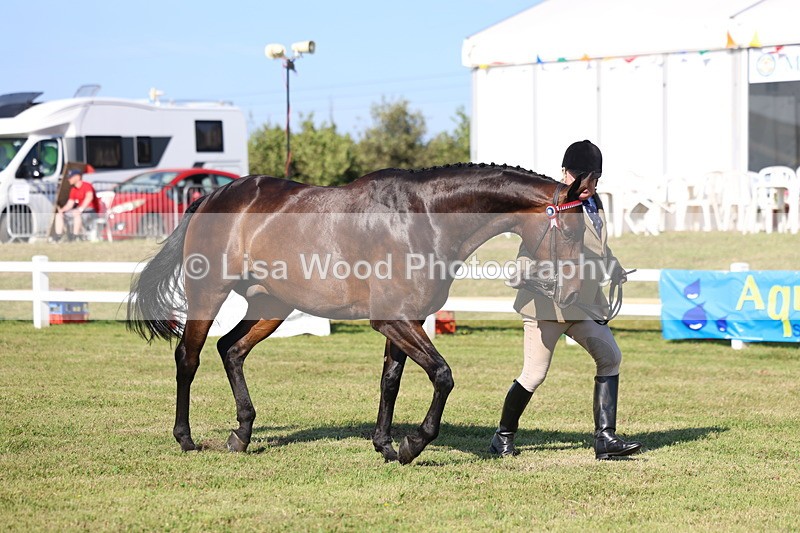 3E7A5643 - Class 2: Rising Star Large Hack/Riding Horse