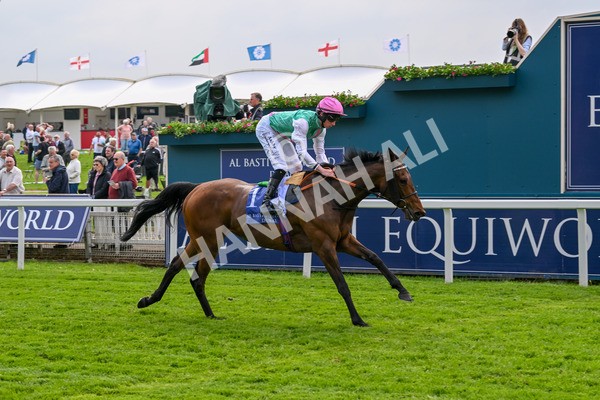 160524-Race 3-Bluestocking-5668 - Race 3 3.15pm  Al Basti Equiworld Dubai Middleton Fillies' Stakes