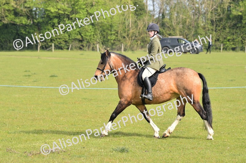 20260426-0884 - Class 18 - Novice Showing