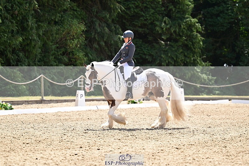 260802A-123224-06264 - Novice Silver break- end