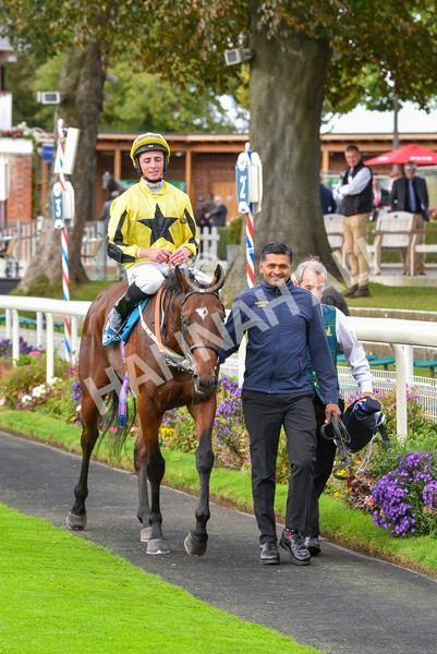 230923-Race 3-Politico-6319 - Race 3 3.10pm Happy 60th Birthday Angela Clark Nursery Handicap