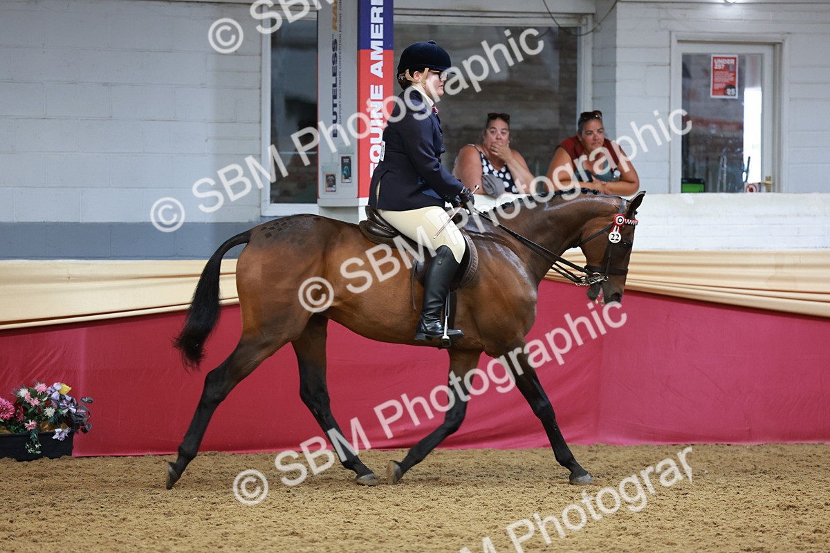 SBM_14950 - Class 108 - Ridden Retired Racehorse