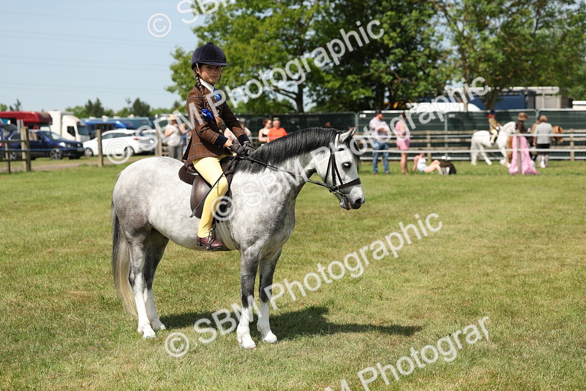SBM_05341 - Class 24-25 - Mountain & Moorland In Hand Lead Rein and First Ridden