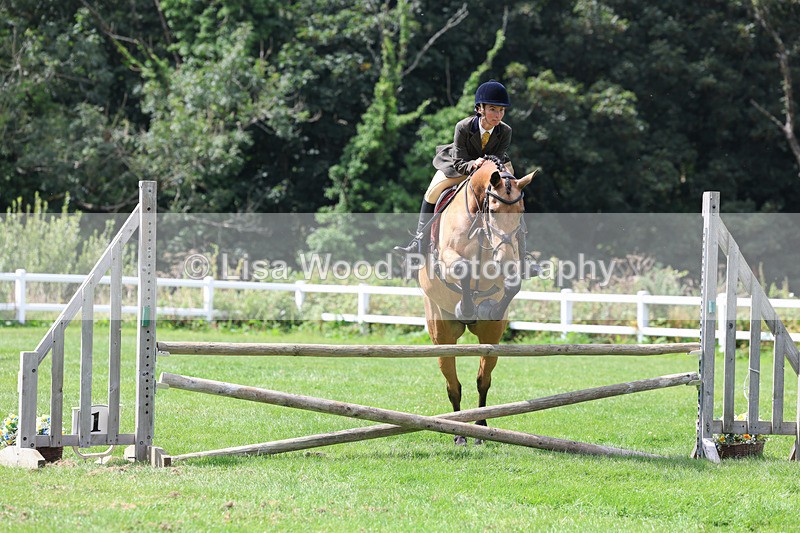 3E7A8877 - Class 6: Open Working Horse