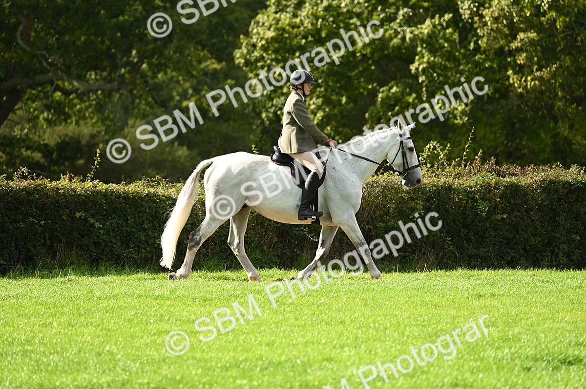 SBM_26313 - S6 - Novice & newcomer Ridden horse