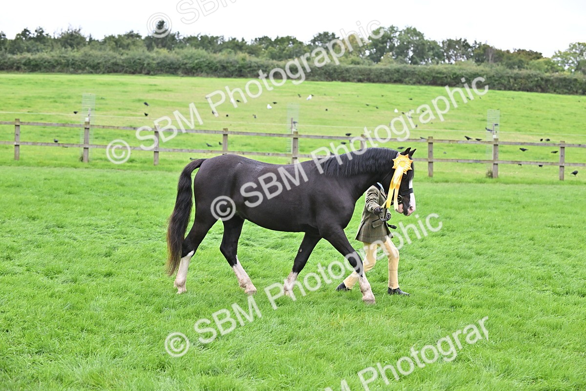 SBM_66845 - S41 - Junior Handler 8 Years & Under