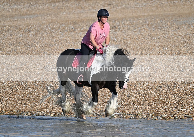 WJ7_3795 - Kellie & Churchill ... do Hayling Island 25-08-24