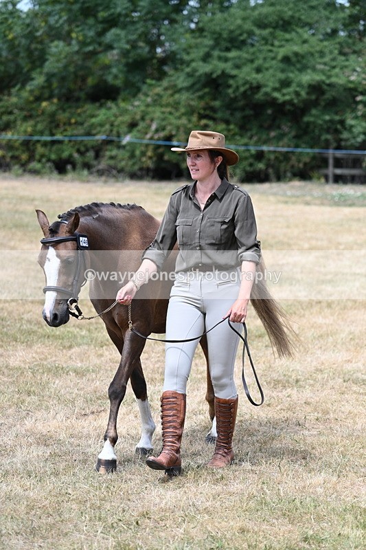 WJ7_2087 - Prettiest Mare Champs
