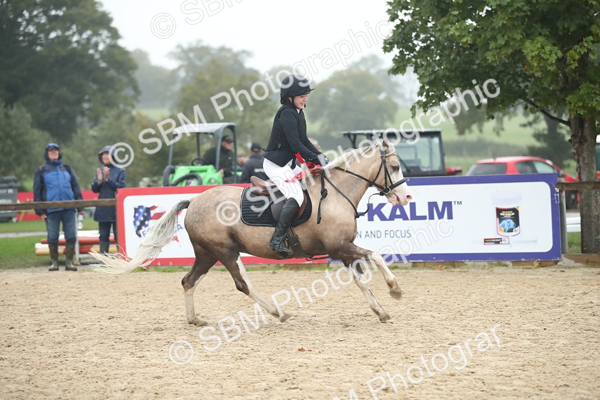 SBM_74371 - Supreme championship Junior Pony 70cm 75cm