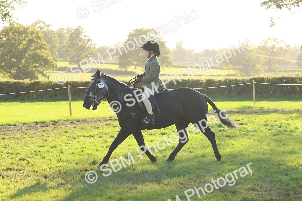 SBM_53015 - S29 - Mature Veteran Ridden