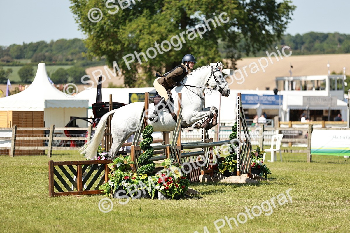 SBM_18439 - Class 112-113 - BSPS LIHS Working Sports Pony