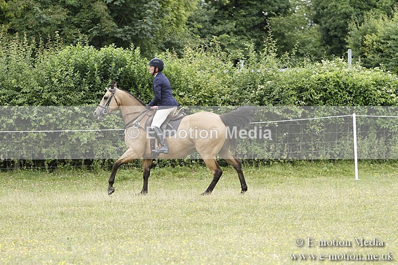 BVR160717-997 - Ring 3 BVRC Show 16/07/17