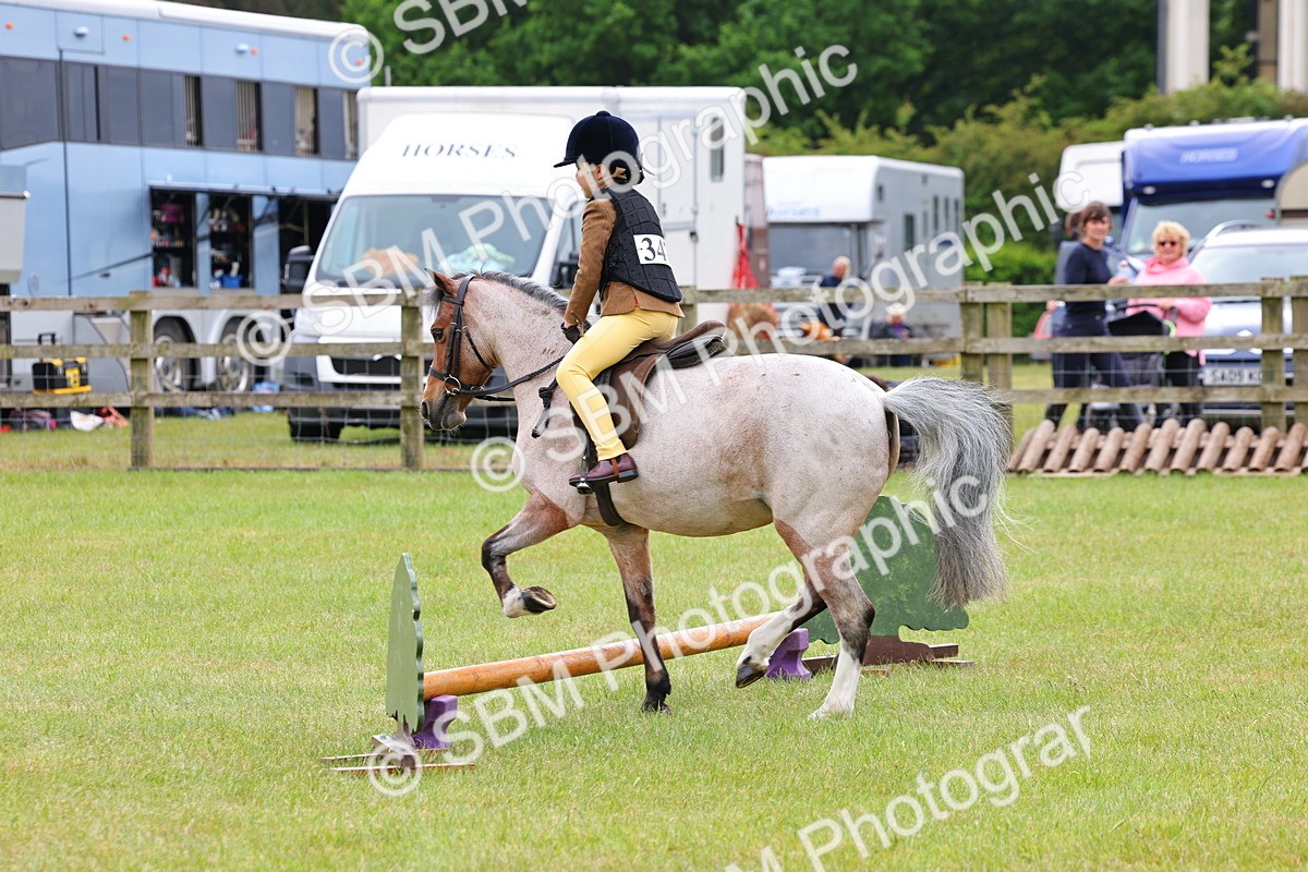 SBM_08594 - Class 42-43 - LIHS BSPS Heritage Working Sports Pony