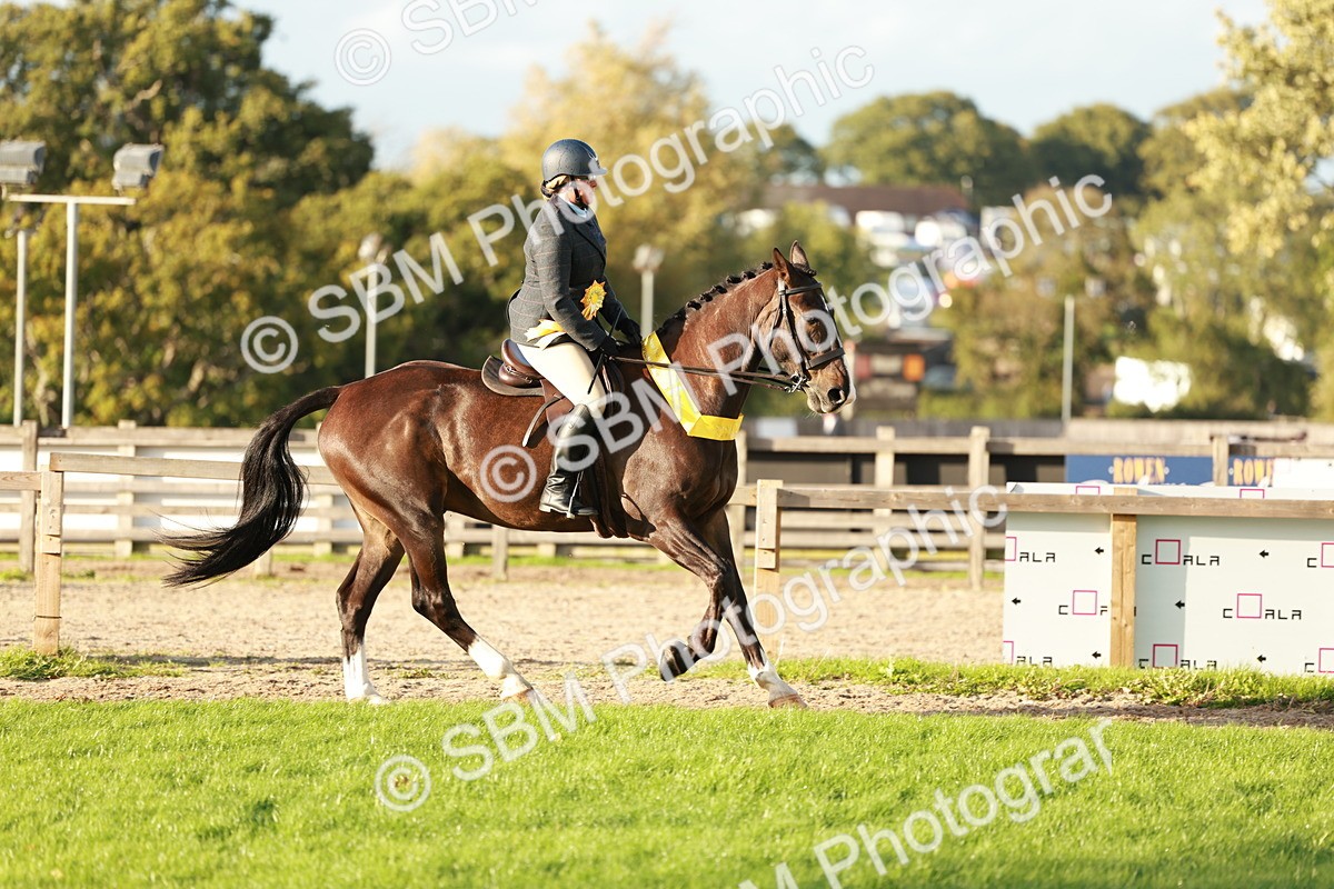 SBM_29314 - Novice & newcomer Supreme Championship
