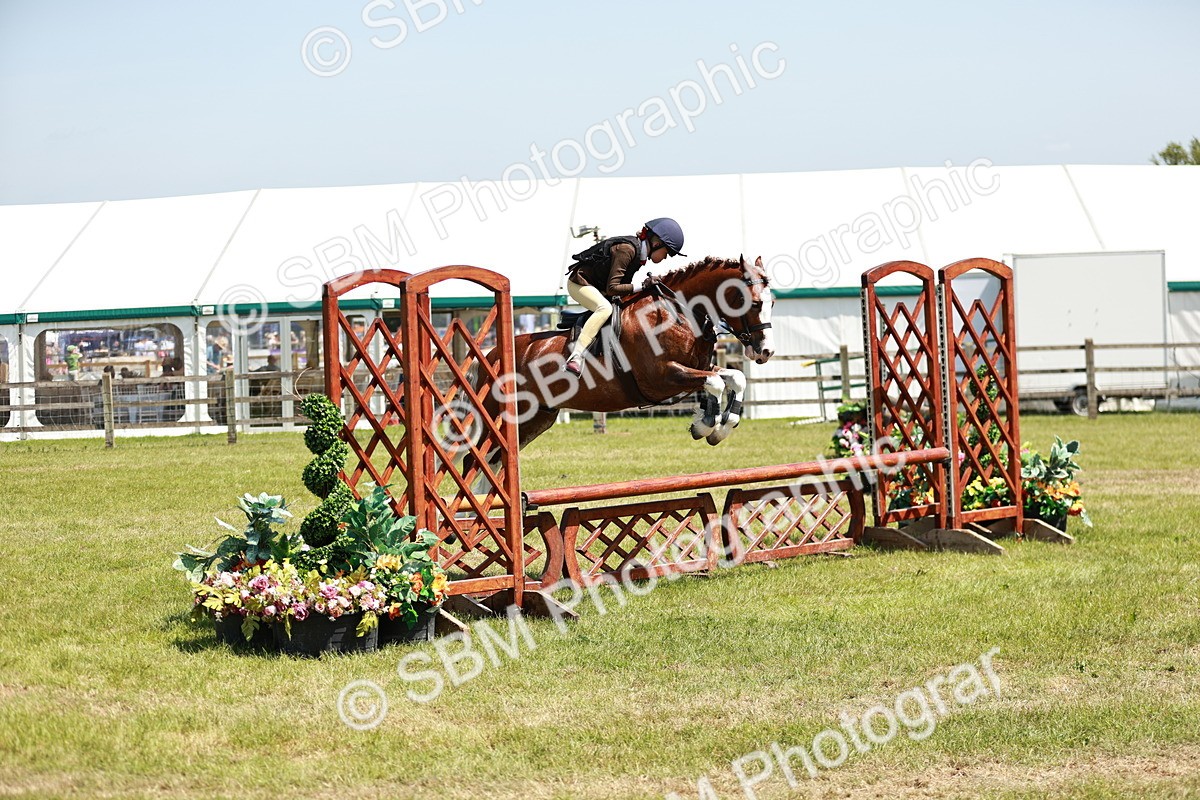 SBM_15587 - Class 108-109 - BSPS LIHS Open Gradle & Nursery Stakes