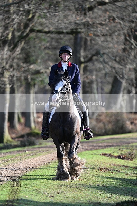 WJ7_7797 - Line 3 (no line 4 or 5)