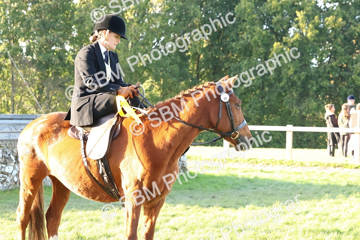 SBM_53105 - S29 - Mature Veteran Ridden
