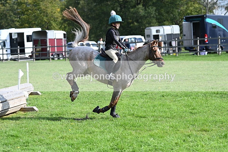 WJ7_4967 - 60cm Time 11:11 to 11:19