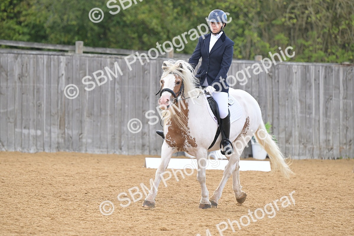 SBM_11218 - D3 - Small Tour Championship Intro 3
