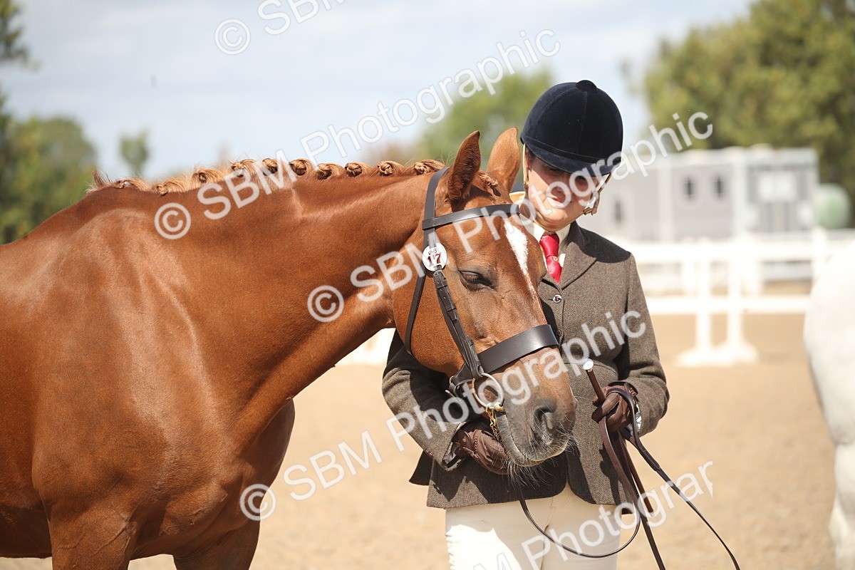 SBM_23142 - Class 606 - 2026 - Area - IH Pre Vet