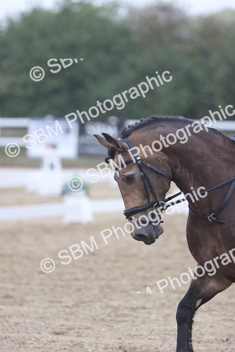 SBM_004415 - Class 9 - Novice 3 Champs