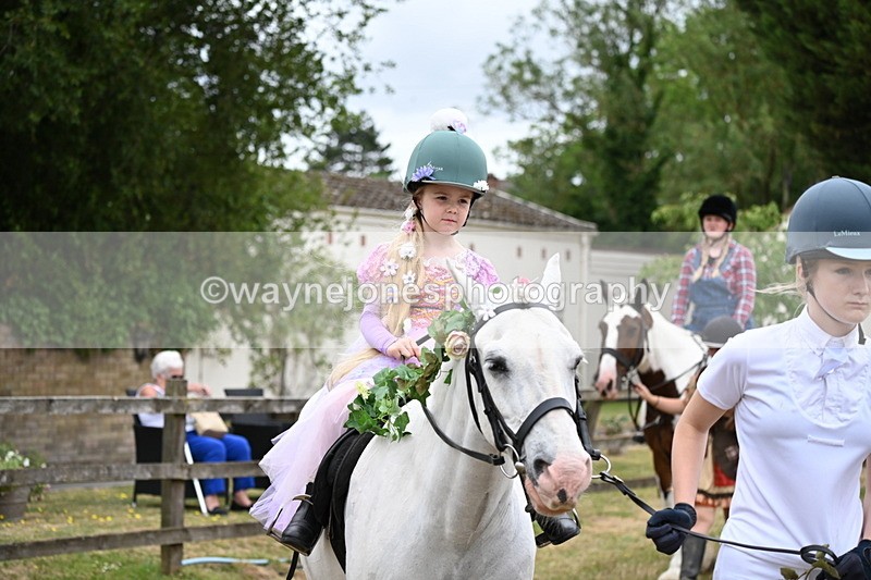 WJ6_4750 - Class 11 Fancy Dress