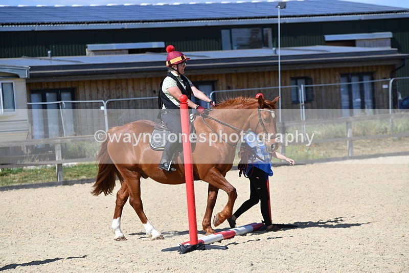 WJ5_4974 - Poles on the Floor