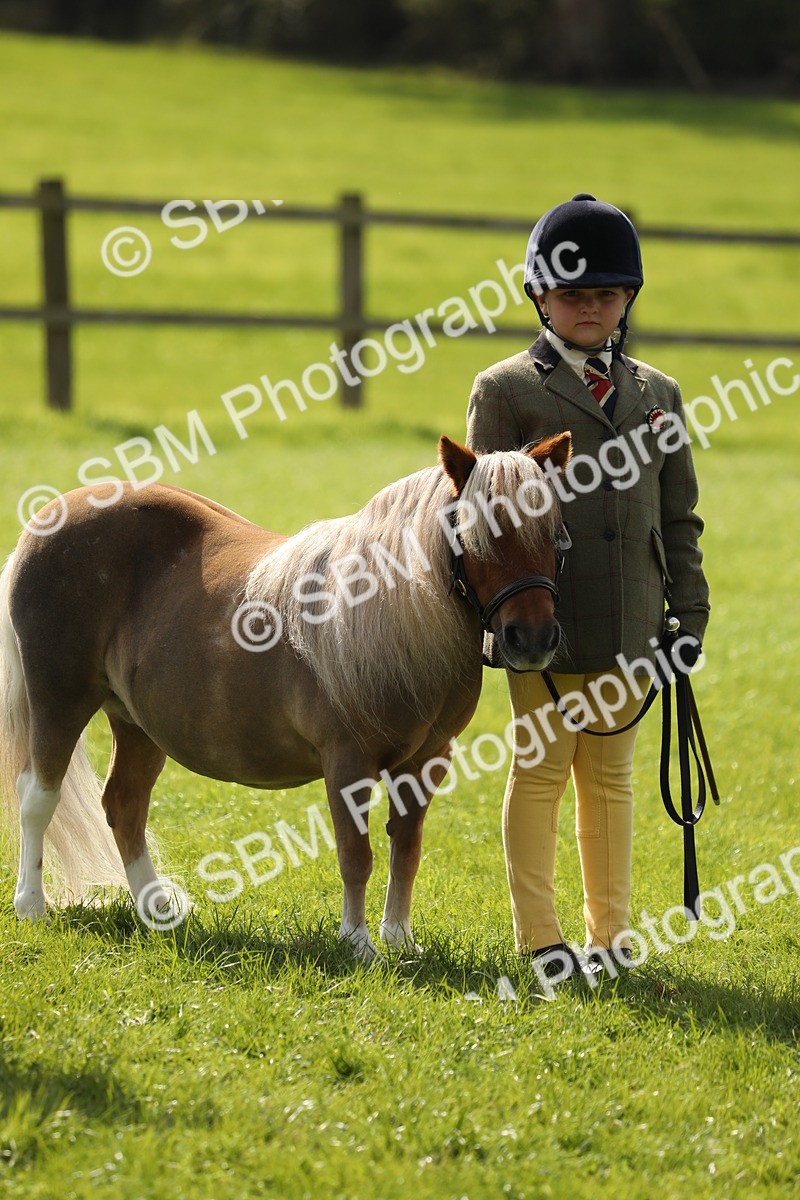SBM_67806 - S39 - Junior Handler 8  Years & Under