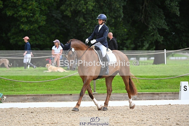 230813-114517-06690 - Cls 12 Elem Silver 10.35 to End