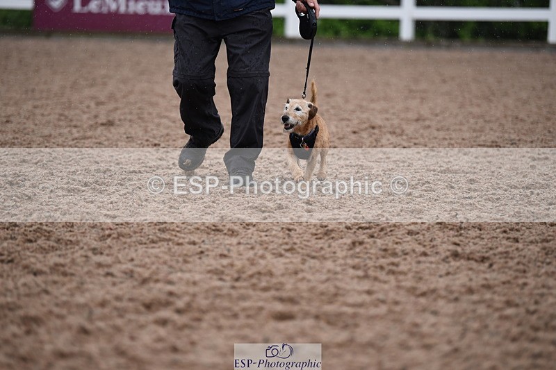 240518A-130130-01239 - Cls 6 Best Veteran