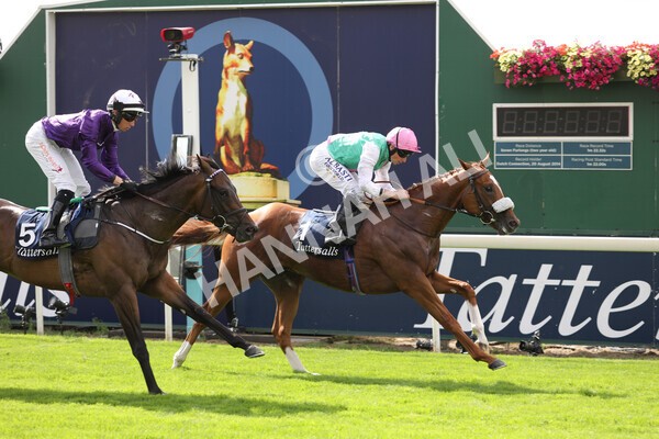 yr17082022r2-31 - Race 2 2.25pm Tattersalls Acomb Stakes