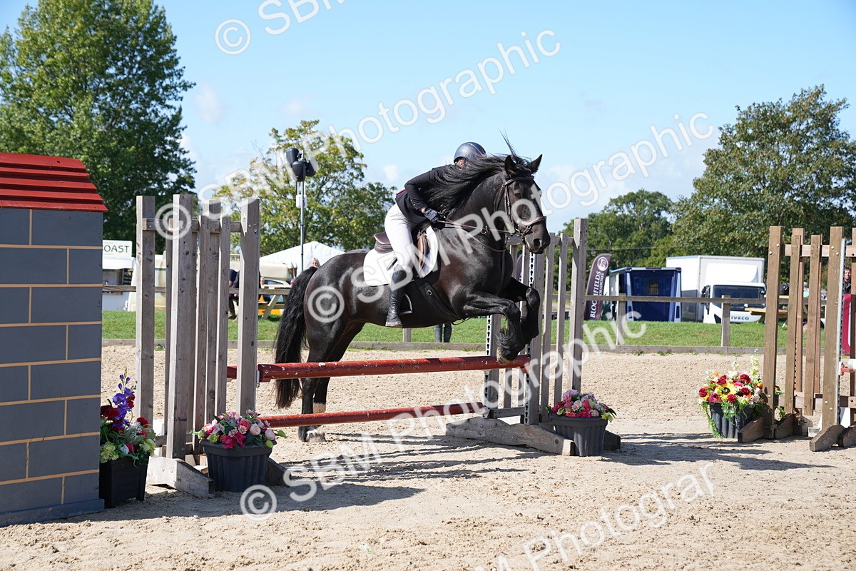SBM_04978 - J56 - Clear Round 70cm
