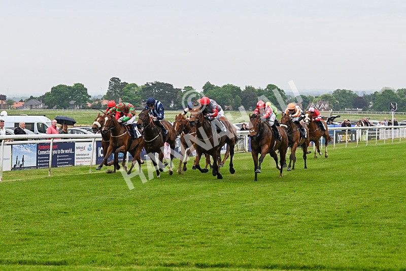 140524-Race 4-Bella Kopella-2037 - Race 4