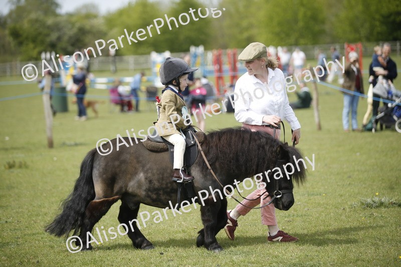 20260426-1925 - Class 7 - Pony Judge Would Most Like To Take Home