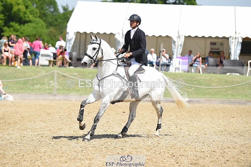 230528-113834-15299 - 359-LONG_BEACH-Giorgio_Nardilli-SUNTrotUp+SJ