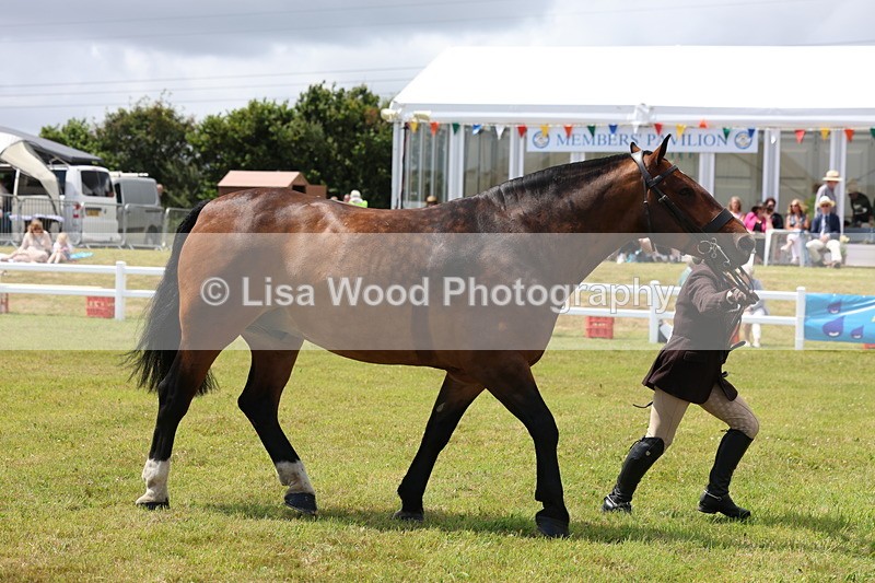 3E7A2224 - Class 10: Open Cob