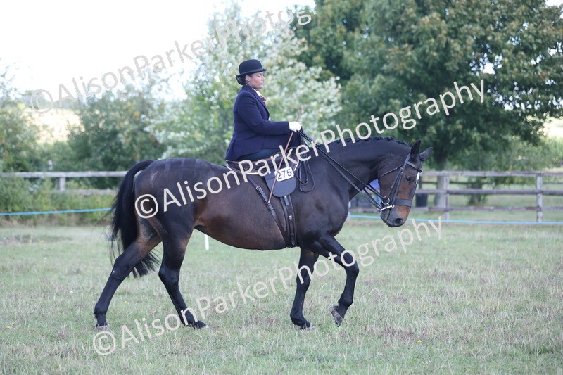 20250831-0968 - Class 15 - Ridden Veteran