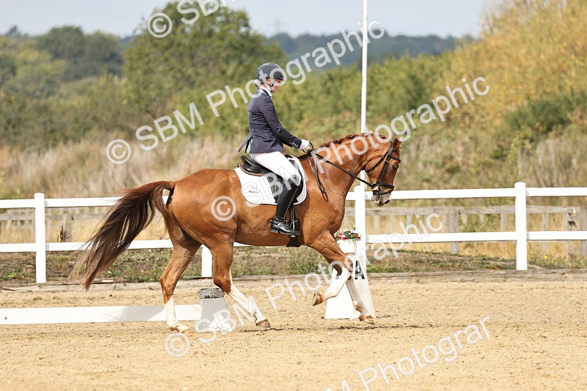 SBM_018324 - Class 16 - Novice 5 - 11.12-12.01