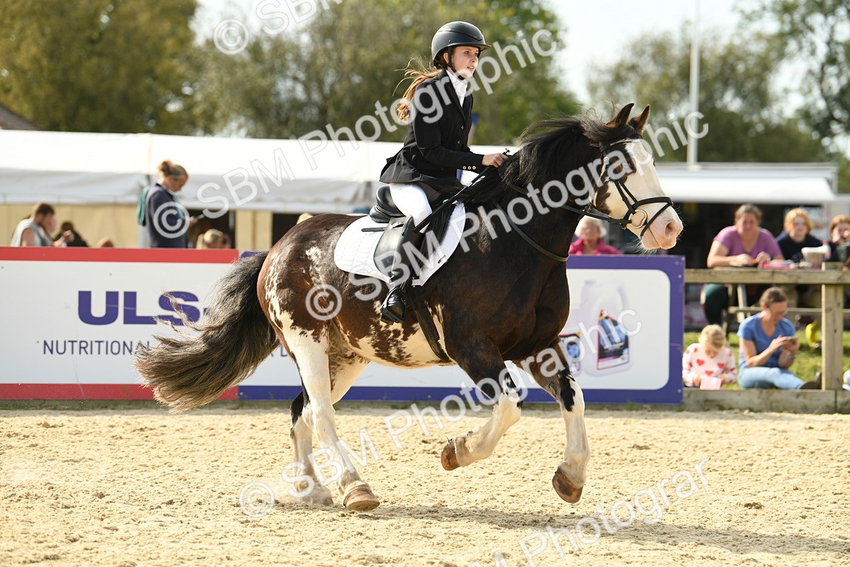 SBM_69285 - J15 - Junior Pony 70cm Championship
