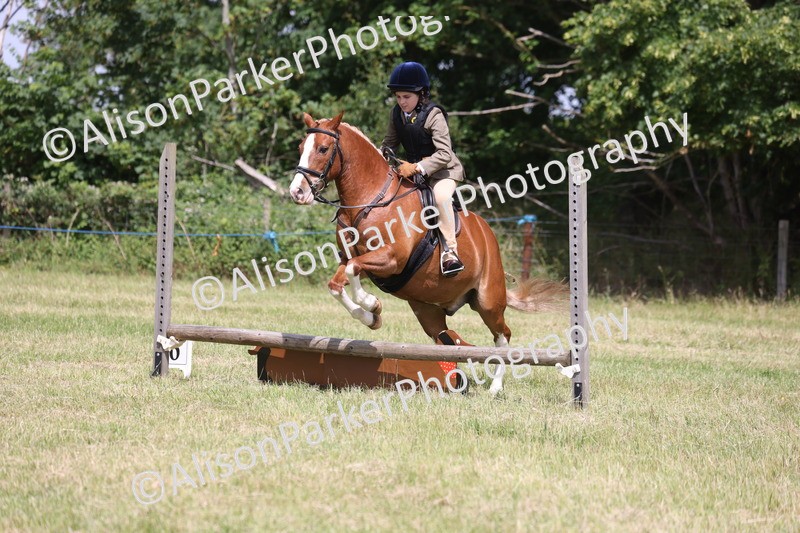 20260614-1930 - Class 21 - Novice Working Hunter Pony