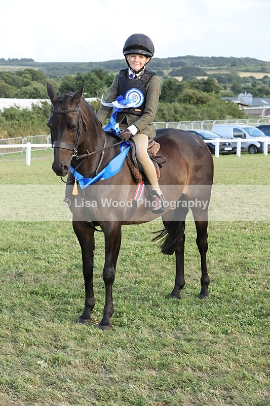 JPP_3779 - Working Hunter Championship
