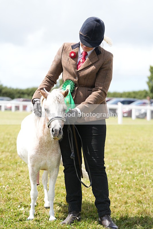 DSC06971 - Class 60: Coloured Pony 4yrs & over