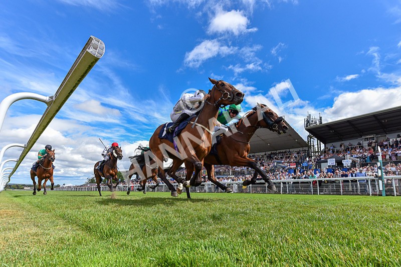 040726-Race 3-Emerald Bay-1950 - Race 3 15.24pm George Kilburn Memorial Nursery Handicap