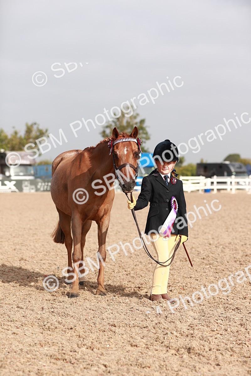 SBM_09949 - Class 203 Young Handler, 10 years and under