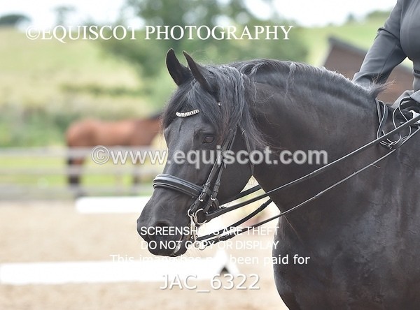 JAC_6322 - ELEMENTARY