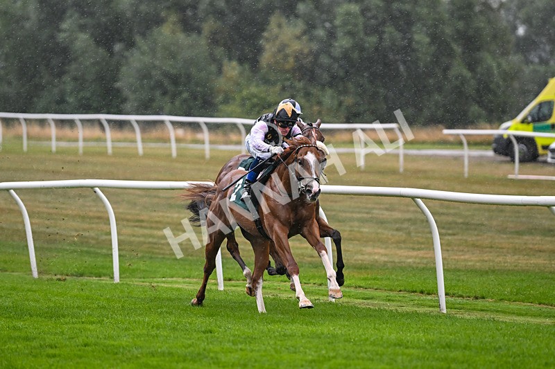 270825-Race 1-The Lost Sock-4463 - Race 1