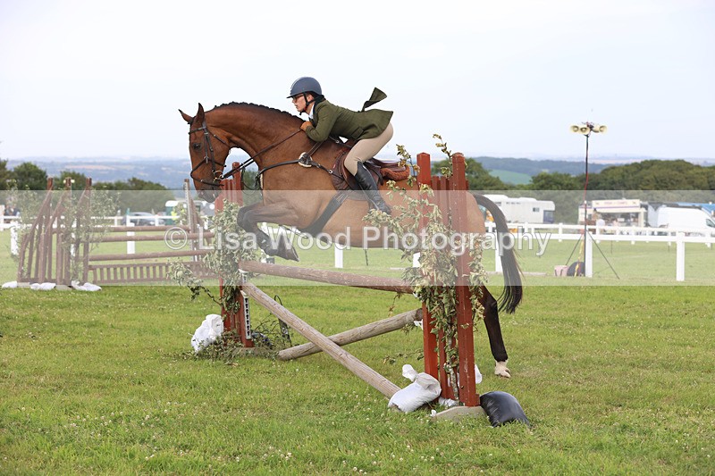 JPP_4348 - Class 26: Working Hunter 1m
