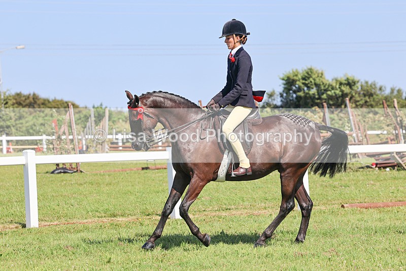 IMG_1909 - Class 33: Show Pony 148cm and under
